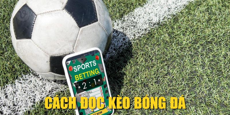 Cách Đọc Kèo Bóng Đá| Hướng Dẫn Chi Tiết Cho Newbie 2025