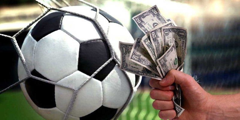 Những cách nuôi kèo được nhiều người lựa chọn