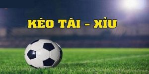 Bí Quyết Nuôi Kèo Tài Xỉu Chuẩn Xác, Tăng Tỷ Lệ Thắng