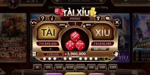 Tài Xỉu Live - Nơi Hội Tụ Những Trận Cược Đỉnh Cao