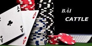 Cách Chơi Bài Catte Hiệu Quả Nhất Cho Hội Viên Mới