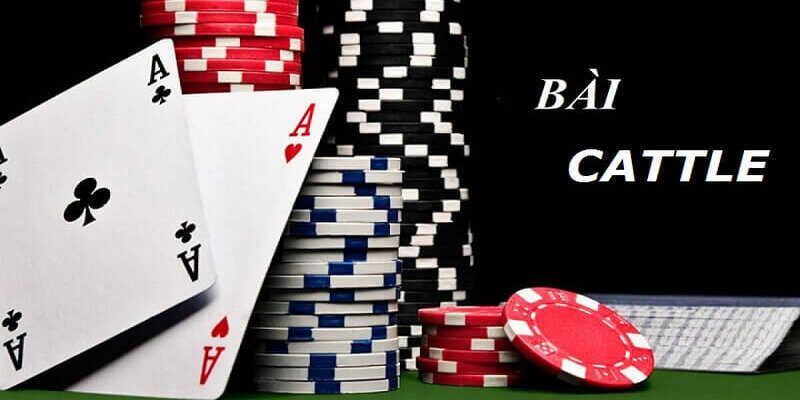 Cách Chơi Bài Catte Hiệu Quả Nhất Cho Hội Viên Mới