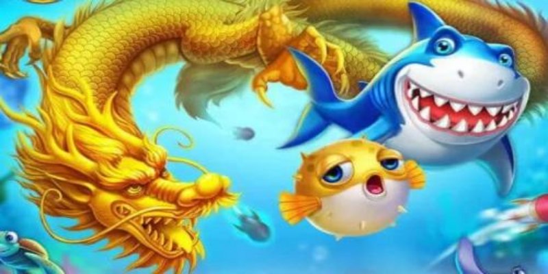 Quy định cơ bản cần nắm khi săn thần rồng
